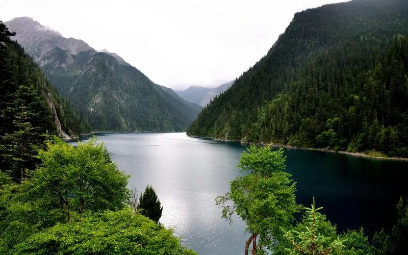 智慧工厂绿色绿色